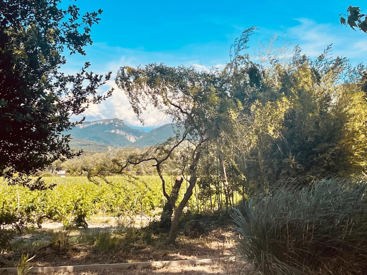 Violès Le Mogador Chateau Du Martinet מראה חיצוני תמונה