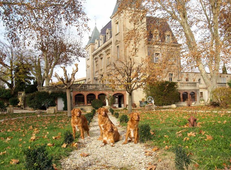 Violès Le Mogador Chateau Du Martinet מראה חיצוני תמונה