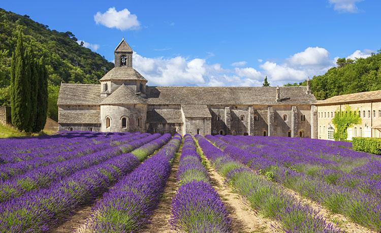 Violès Le Mogador Chateau Du Martinet מראה חיצוני תמונה